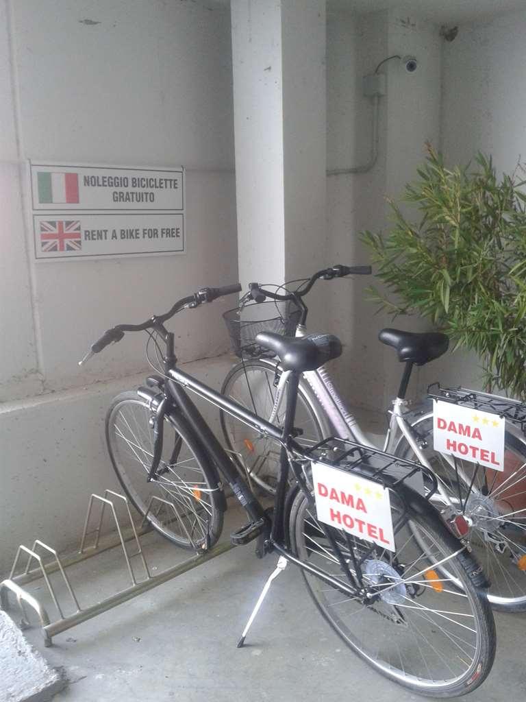 Hotel Dama 3*